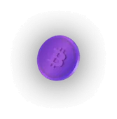 Bitapp24 - Get in touch with us